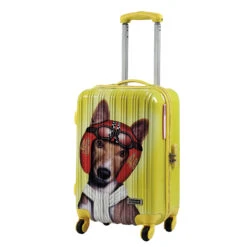 Mavi Maleta Cabina Puka Perro Piloto